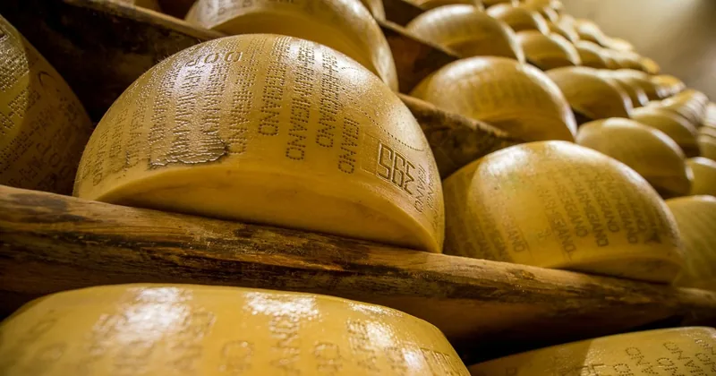 Les secrets du Parmigiano Reggiano et visite avec dégustation de vinaigre balsamique