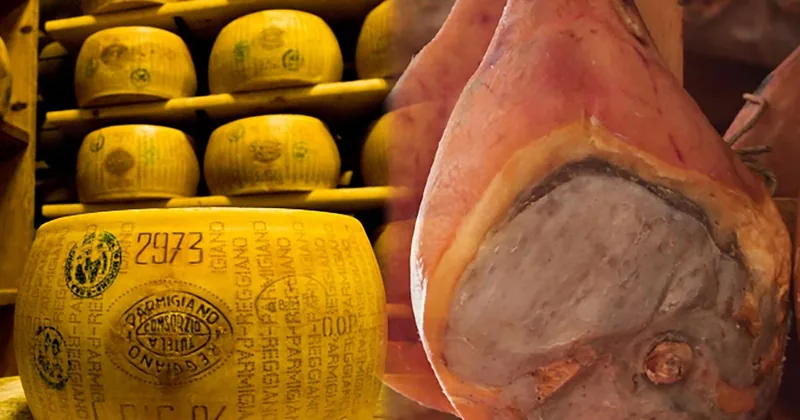Parme : visite de la production de Parmigiano et du jambon de Parme avec dégustation