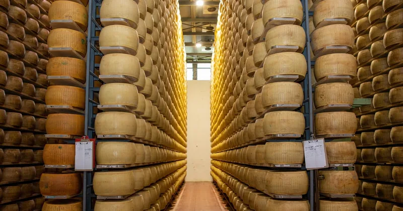 Formigine : visite Parmigiano avec dégustation complète